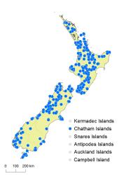 Hypolepis rufobarbata distribution map based on databased records at AK, CHR & WELT.
 Image: K. Boardman © Landcare Research 2017 CC BY 3.0 NZ